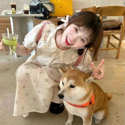 神犬小七第一季